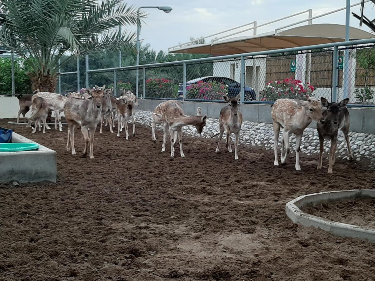 Asahalah Farm Pool Villas Seeb Exterior photo
