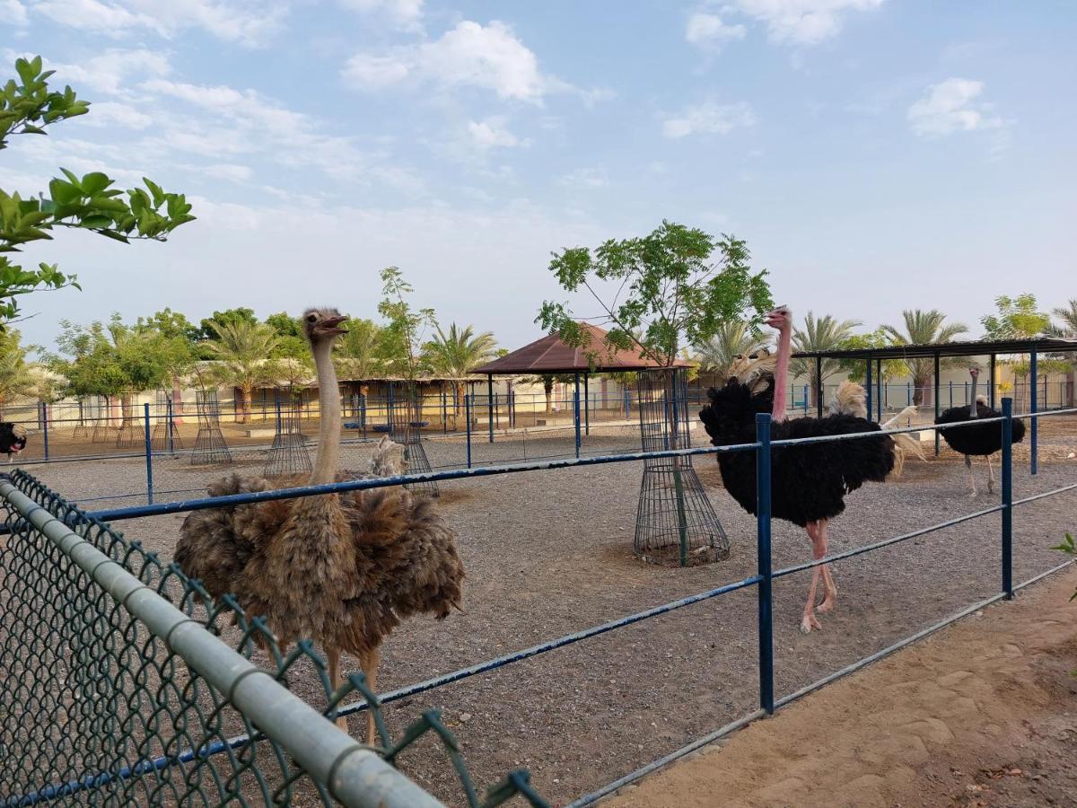 Asahalah Farm Pool Villas Seeb Exterior photo